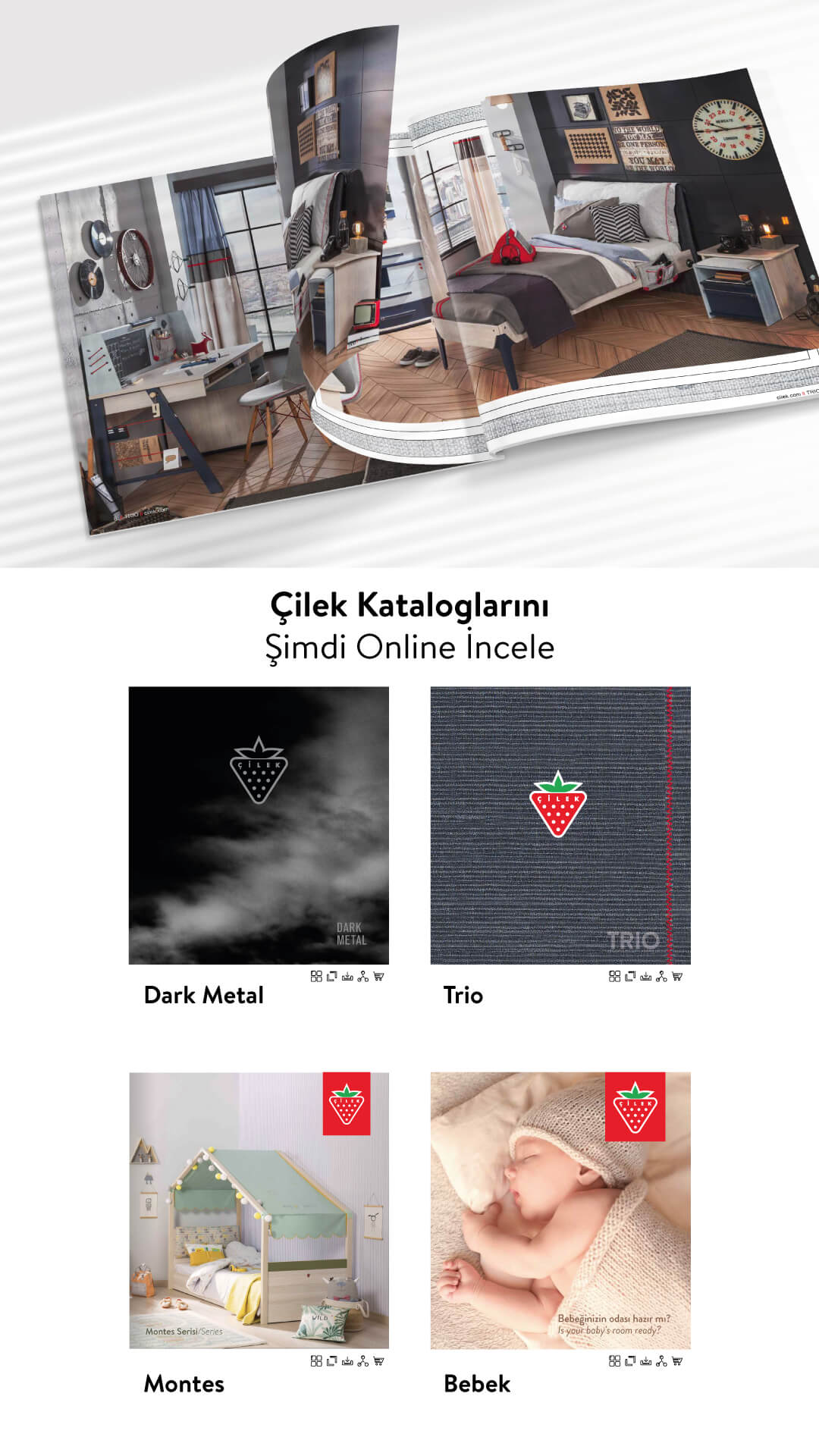 Online Katalog Story