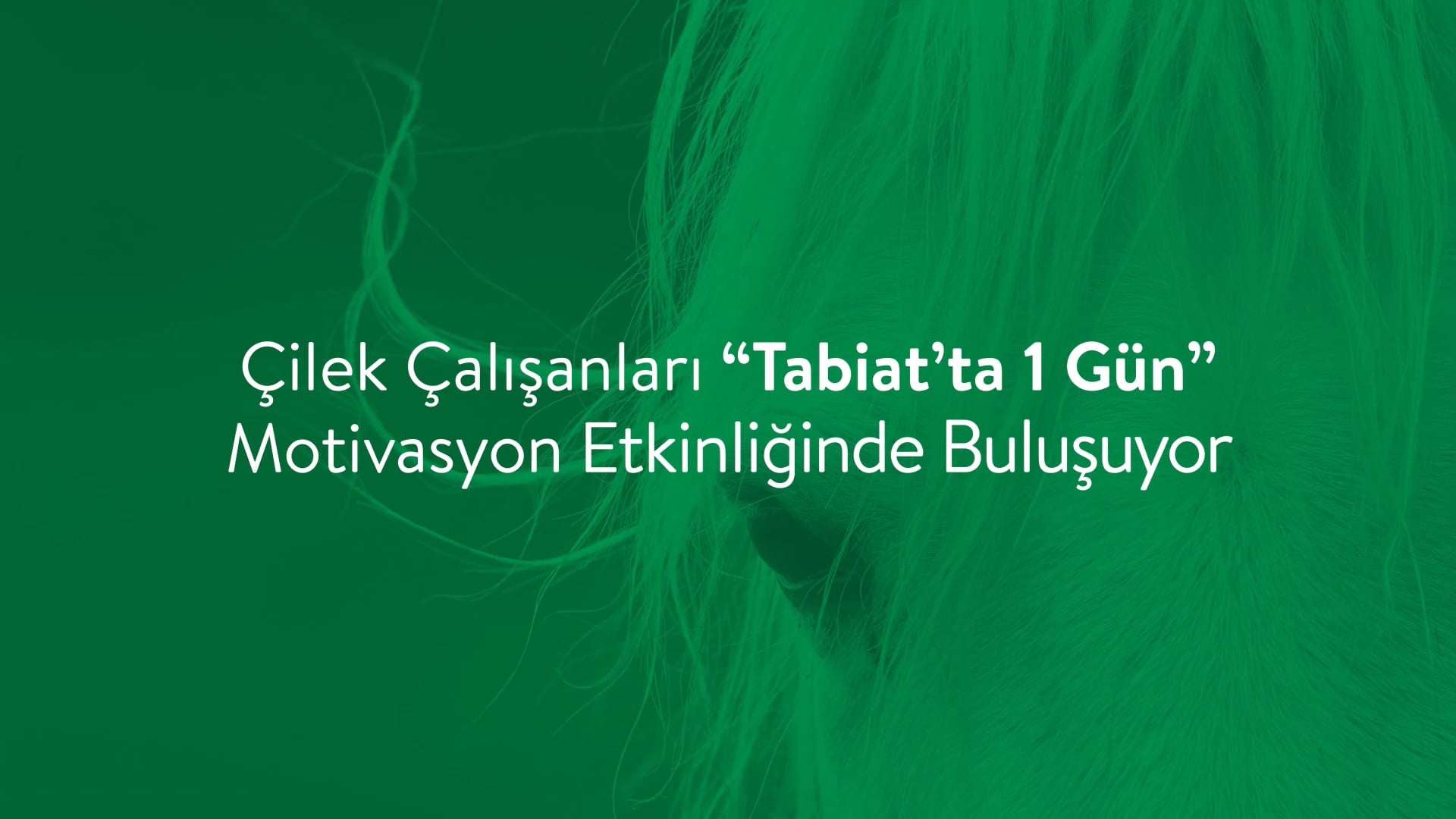 Tabiat Cilek Calisanlari